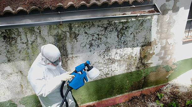 Top rated local Mold Cleanup specialists in Mantua, VA